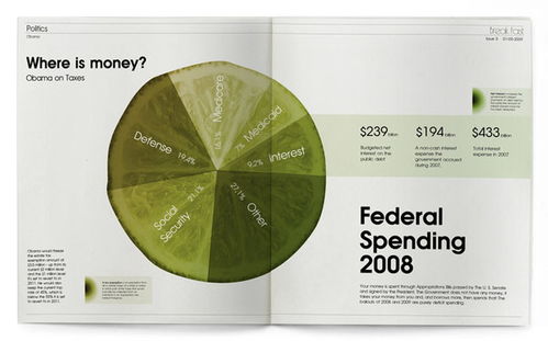 探索平面设计之美 Elizaveta Ekaterina Solomeina的艺术世界