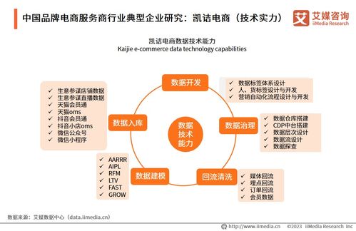 2023年中国品牌电商服务商行业研究报告 信息技术咨询服务的价值重塑与趋势洞察