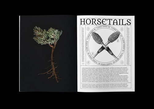 CGDA 2019视觉传达设计奖获奖作品赏析